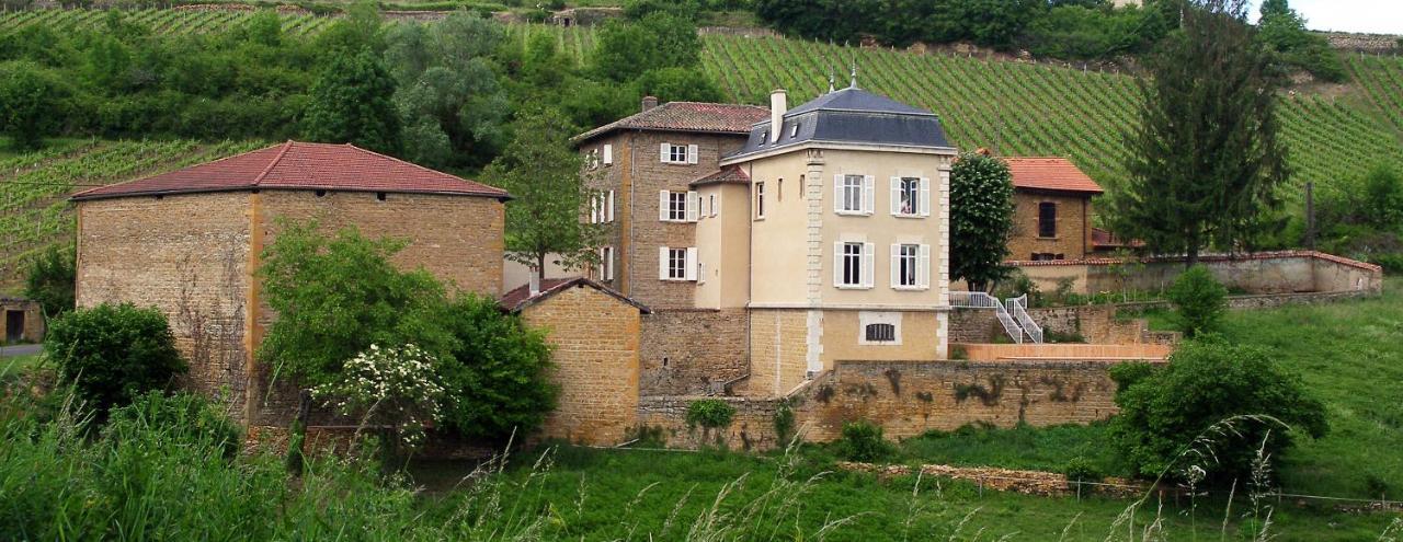 Le Clos Des Fayettes Theize Eksteriør billede